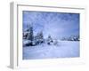 Winter Landscape, Hudson Bay, Manitoba, Canada-Thorsten Milse-Framed Photographic Print