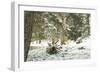 Winter Landscape in Bavaria - Snow-Petra Daisenberger-Framed Photographic Print