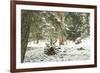 Winter Landscape in Bavaria - Snow-Petra Daisenberger-Framed Photographic Print