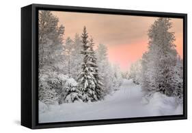 Winter Landscape in Lapland-udvarhazi-Framed Stretched Canvas