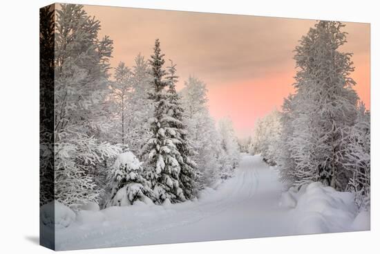 Winter Landscape in Lapland-udvarhazi-Stretched Canvas