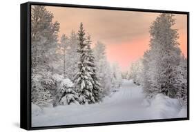 Winter Landscape in Lapland-udvarhazi-Framed Stretched Canvas