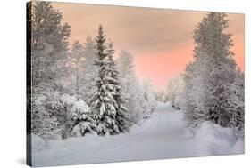Winter Landscape in Lapland-udvarhazi-Stretched Canvas