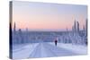 Winter Landscape in Lapland-udvarhazi-Stretched Canvas