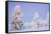 Winter Landscape in Lapland-udvarhazi-Framed Stretched Canvas