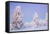 Winter Landscape in Lapland-udvarhazi-Framed Stretched Canvas