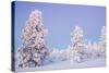 Winter Landscape in Lapland-udvarhazi-Stretched Canvas