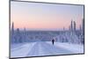 Winter Landscape in Lapland-udvarhazi-Mounted Photographic Print