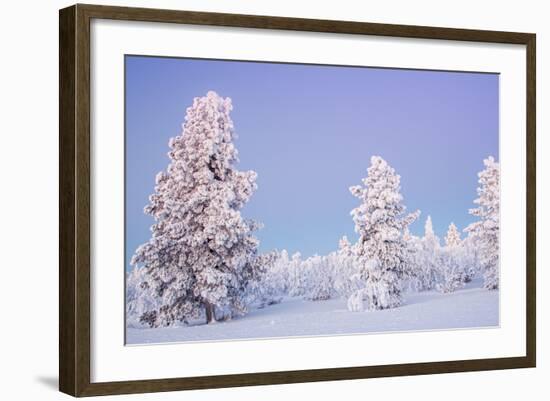 Winter Landscape in Lapland-udvarhazi-Framed Photographic Print