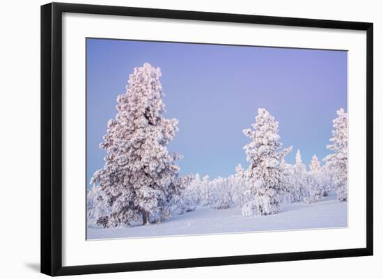 Winter Landscape in Lapland-udvarhazi-Framed Photographic Print