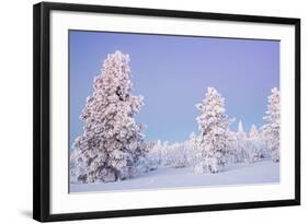 Winter Landscape in Lapland-udvarhazi-Framed Photographic Print