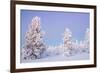 Winter Landscape in Lapland-udvarhazi-Framed Photographic Print