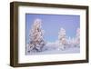 Winter Landscape in Lapland-udvarhazi-Framed Photographic Print