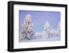 Winter Landscape in Lapland-udvarhazi-Framed Photographic Print