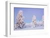 Winter Landscape in Lapland-udvarhazi-Framed Photographic Print