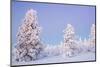 Winter Landscape in Lapland-udvarhazi-Mounted Photographic Print