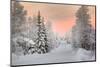 Winter Landscape in Lapland-udvarhazi-Mounted Photographic Print