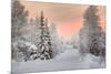 Winter Landscape in Lapland-udvarhazi-Mounted Photographic Print