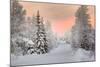 Winter Landscape in Lapland-udvarhazi-Mounted Photographic Print