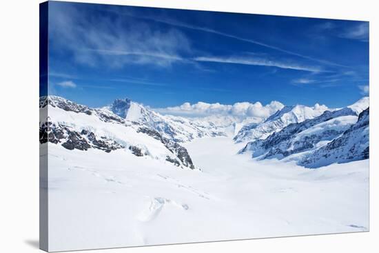 Winter Landscape in the Jungfrau Region-swisshippo-Stretched Canvas