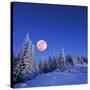 Winter Landscape in the Mountains at Night. A Full Moon and a Starry Sky. Carpathians, Ukraine-Kotenko-Stretched Canvas