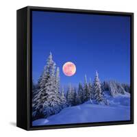 Winter Landscape in the Mountains at Night. A Full Moon and a Starry Sky. Carpathians, Ukraine-Kotenko-Framed Stretched Canvas