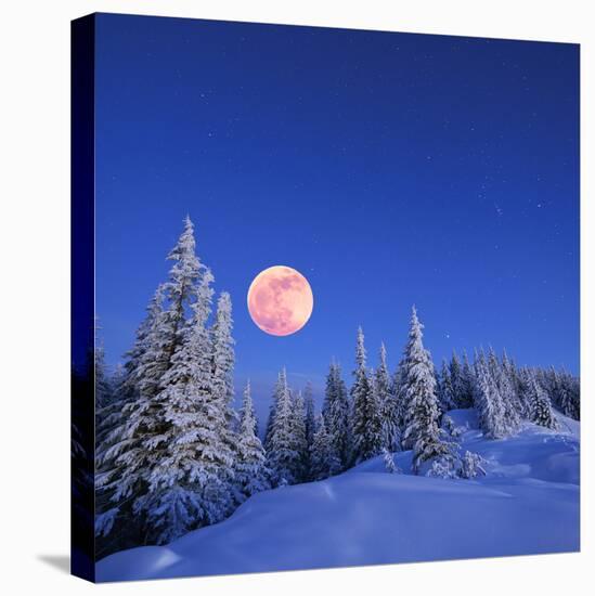 Winter Landscape in the Mountains at Night. A Full Moon and a Starry Sky. Carpathians, Ukraine-Kotenko-Stretched Canvas