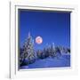 Winter Landscape in the Mountains at Night. A Full Moon and a Starry Sky. Carpathians, Ukraine-Kotenko-Framed Photographic Print