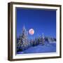 Winter Landscape in the Mountains at Night. A Full Moon and a Starry Sky. Carpathians, Ukraine-Kotenko-Framed Photographic Print