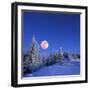 Winter Landscape in the Mountains at Night. A Full Moon and a Starry Sky. Carpathians, Ukraine-Kotenko-Framed Photographic Print