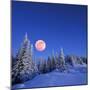 Winter Landscape in the Mountains at Night. A Full Moon and a Starry Sky. Carpathians, Ukraine-Kotenko-Mounted Photographic Print