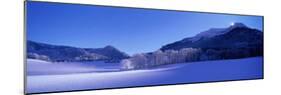 Winter Landscape Near Inzel, Bavaria, Germany-null-Mounted Photographic Print