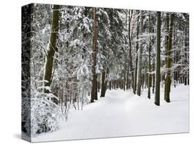 Winter Landscape, Near Koenigsfeld, Black Forest, Baden-Wutttemberg, Germany, Europe-Jochen Schlenker-Stretched Canvas