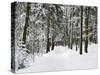 Winter Landscape, Near Koenigsfeld, Black Forest, Baden-Wutttemberg, Germany, Europe-Jochen Schlenker-Stretched Canvas