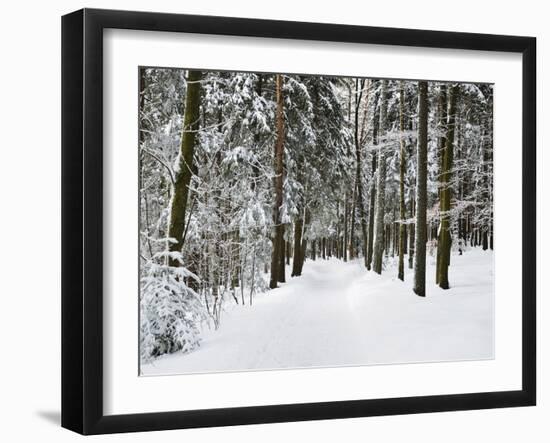 Winter Landscape, Near Koenigsfeld, Black Forest, Baden-Wutttemberg, Germany, Europe-Jochen Schlenker-Framed Photographic Print