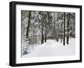 Winter Landscape, Near Koenigsfeld, Black Forest, Baden-Wutttemberg, Germany, Europe-Jochen Schlenker-Framed Photographic Print