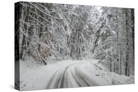 Winter Landscape near Passo Della Consuma-Guido Cozzi-Stretched Canvas