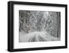 Winter Landscape near Passo Della Consuma-Guido Cozzi-Framed Premium Photographic Print