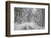 Winter Landscape near Passo Della Consuma-Guido Cozzi-Framed Photographic Print