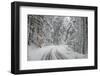 Winter Landscape near Passo Della Consuma-Guido Cozzi-Framed Photographic Print