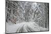 Winter Landscape near Passo Della Consuma-Guido Cozzi-Mounted Photographic Print