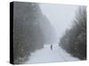 Winter Landscape, Near Villingen-Schwenningen, Black Forest, Baden-Wurttemberg, Germany, Europe-Jochen Schlenker-Stretched Canvas