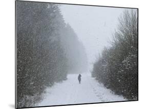 Winter Landscape, Near Villingen-Schwenningen, Black Forest, Baden-Wurttemberg, Germany, Europe-Jochen Schlenker-Mounted Photographic Print