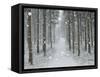 Winter Landscape, Near Villingen-Schwenningen, Black Forest, Baden-Wurttemberg, Germany, Europe-Jochen Schlenker-Framed Stretched Canvas