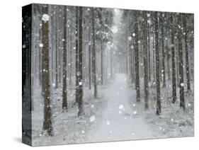 Winter Landscape, Near Villingen-Schwenningen, Black Forest, Baden-Wurttemberg, Germany, Europe-Jochen Schlenker-Stretched Canvas