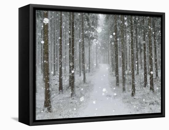 Winter Landscape, Near Villingen-Schwenningen, Black Forest, Baden-Wurttemberg, Germany, Europe-Jochen Schlenker-Framed Stretched Canvas