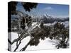 Winter Landscape of Mountains Seen Through Snow-Covered Tree Branches, High Country, Australia-Richard Nebesky-Stretched Canvas