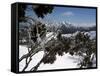 Winter Landscape of Mountains Seen Through Snow-Covered Tree Branches, High Country, Australia-Richard Nebesky-Framed Stretched Canvas