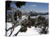 Winter Landscape of Mountains Seen Through Snow-Covered Tree Branches, High Country, Australia-Richard Nebesky-Stretched Canvas