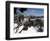 Winter Landscape of Mountains Seen Through Snow-Covered Tree Branches, High Country, Australia-Richard Nebesky-Framed Photographic Print